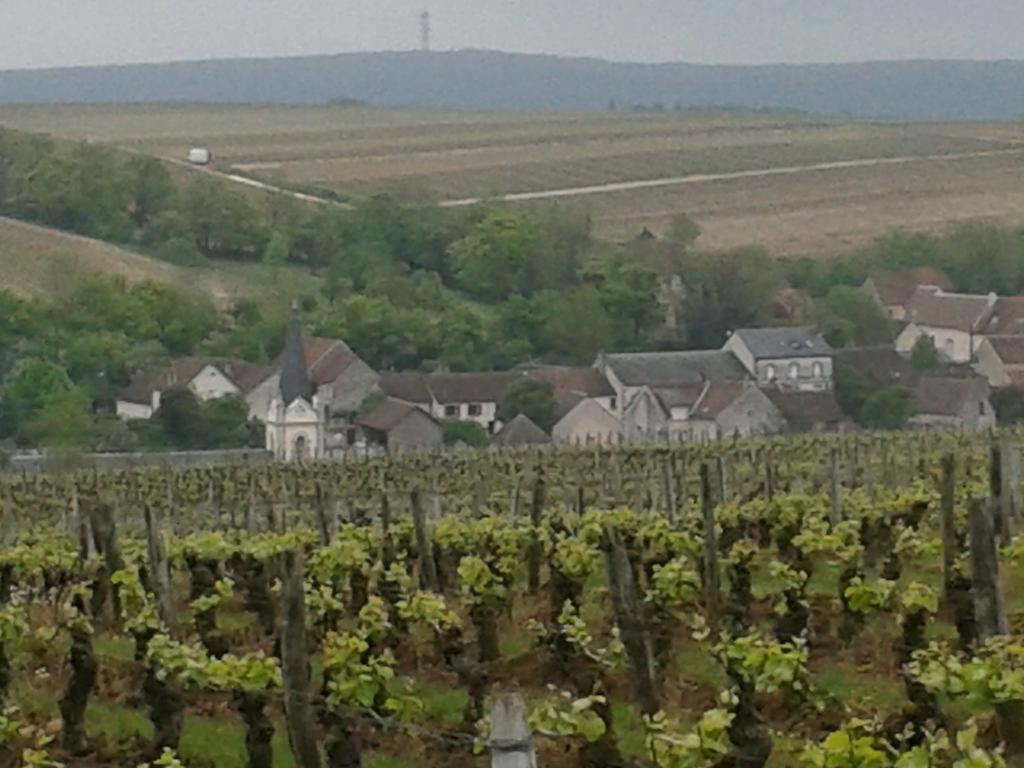 Le Clos Saint Martin Hotel Sancerre Exterior photo